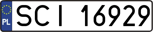 SCI16929