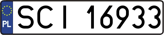 SCI16933