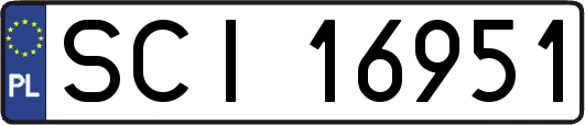 SCI16951