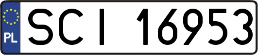 SCI16953