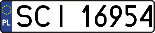SCI16954