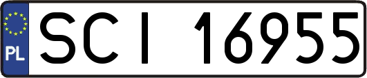 SCI16955