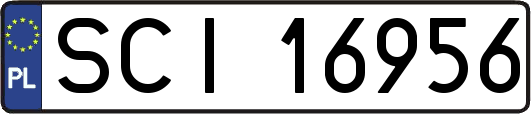 SCI16956