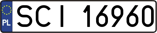 SCI16960
