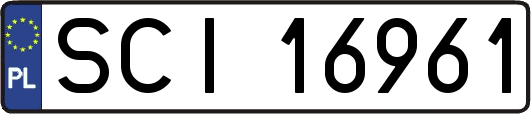 SCI16961