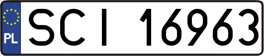 SCI16963