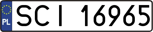 SCI16965