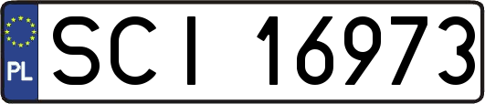 SCI16973
