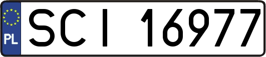 SCI16977