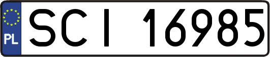 SCI16985