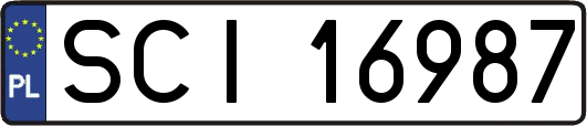 SCI16987