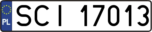SCI17013