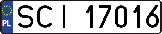 SCI17016