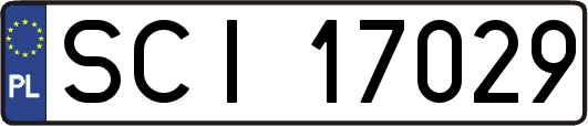 SCI17029
