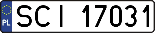 SCI17031