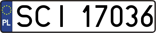 SCI17036