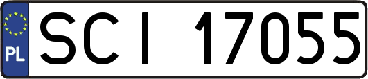 SCI17055