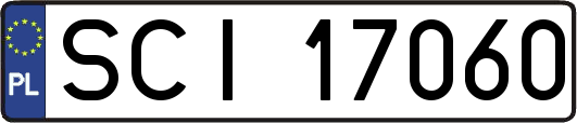 SCI17060