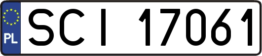 SCI17061