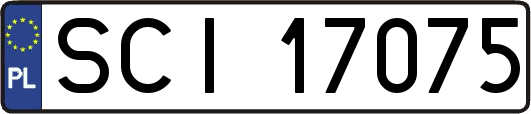 SCI17075