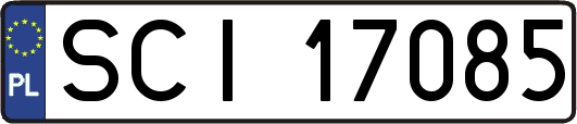SCI17085