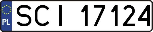 SCI17124