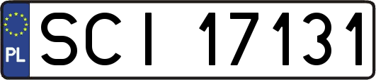 SCI17131