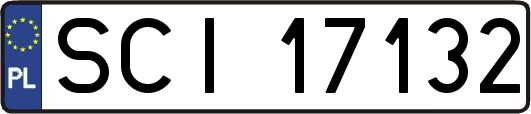 SCI17132