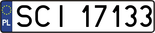 SCI17133