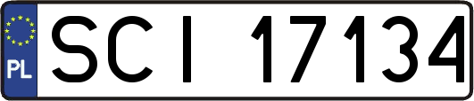 SCI17134