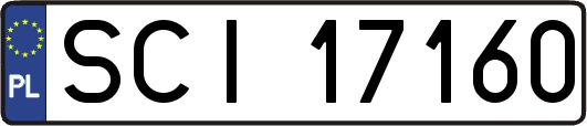 SCI17160