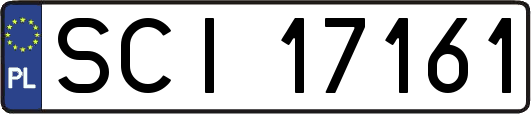 SCI17161