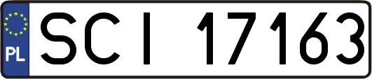 SCI17163