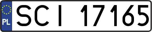 SCI17165
