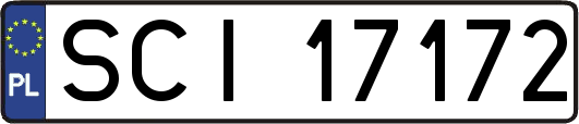 SCI17172