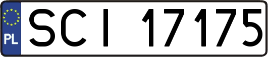 SCI17175