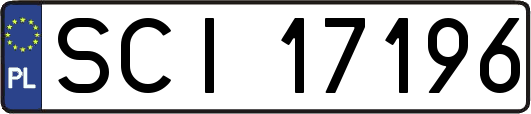 SCI17196
