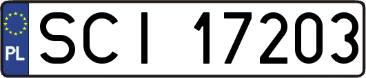 SCI17203