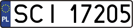 SCI17205