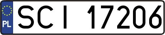 SCI17206