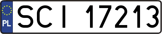 SCI17213