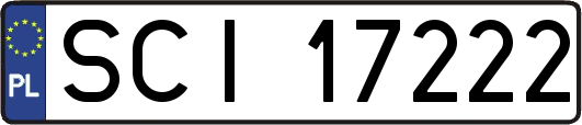 SCI17222