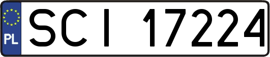 SCI17224