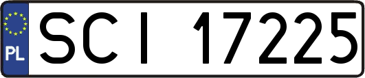 SCI17225