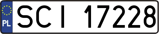 SCI17228