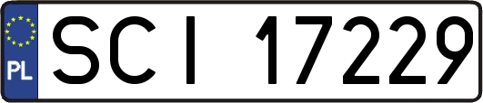 SCI17229