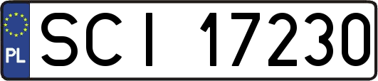 SCI17230