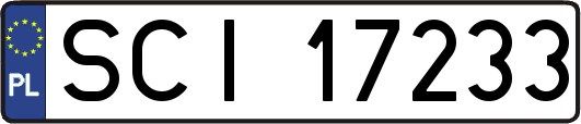 SCI17233