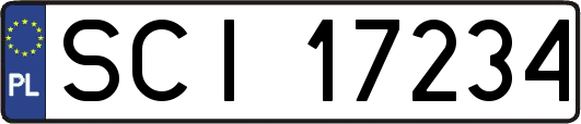 SCI17234