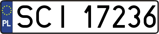 SCI17236